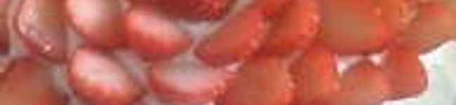 飴玉の唄's header image