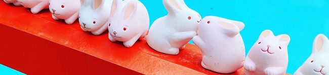 ☆環音☆'s header image