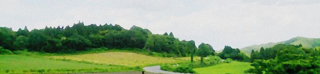 クック☆4835's header image