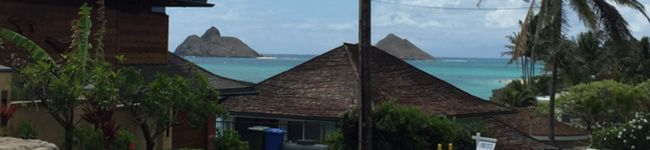 aipun555's header image