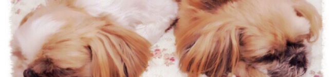 crmk's header image
