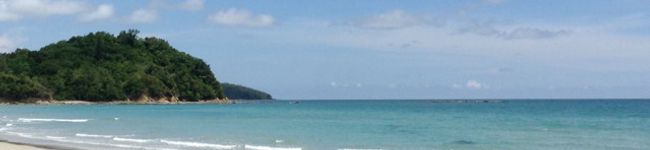 nong＊KDT's header image