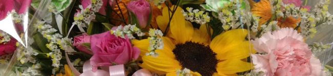 Keiko姉さん's header image