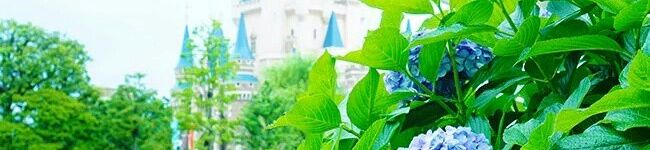 ベリー♡'s header image