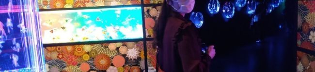 れいちぇるるるるる's header image
