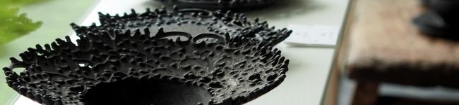 aner's header image