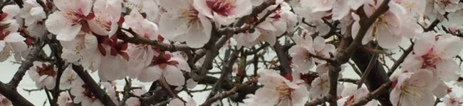 かめちゃん☆816's header image