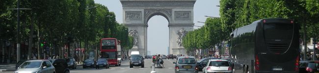 paris-berry's header image