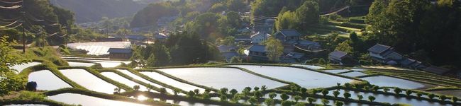 奈良県明日香村's header image