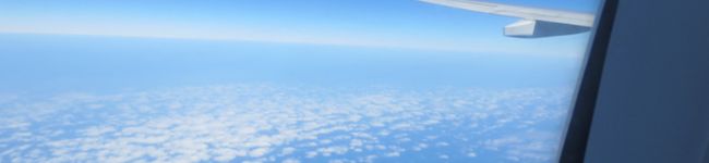 もぎゅもぎゅ♪'s header image
