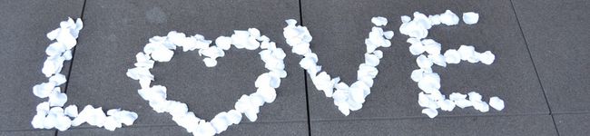 クックSR5MV6☆'s header image