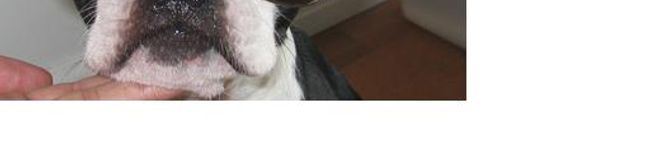 WakakoNewYork's header image
