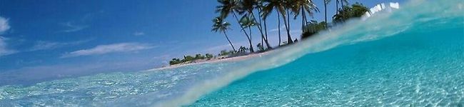 ダリアꕤ*.ﾟ's header image