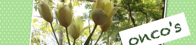 onco's header image