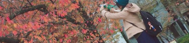 _lawn_'s header image