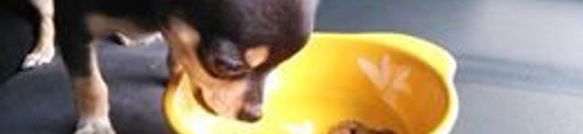coco´s's header image