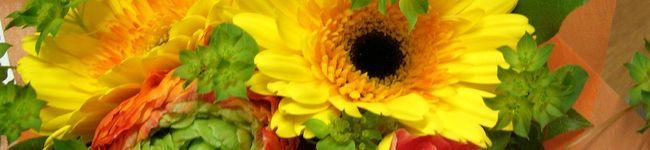 himarin-mama's header image