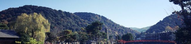こおり。's header image