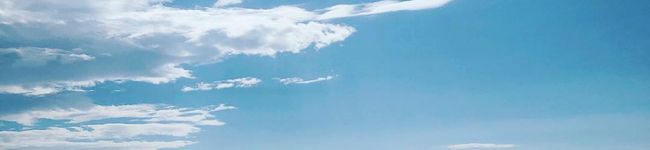 ミニトマトまま's header image
