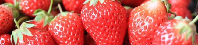 mamumamu69's header image