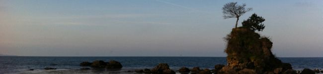 蓮117's header image