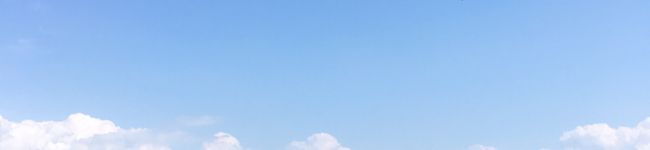 えりとまと's header image
