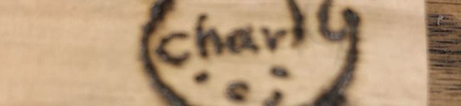 mgmgCharly's header image