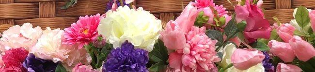 ⁂annie⁂'s header image