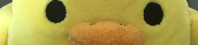 しろたんはるさん's header image