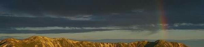 ハルゼミ's header image