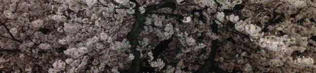 takorankor's header image