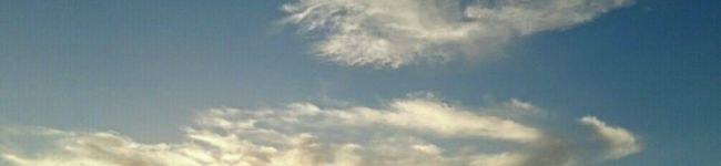 ちーたんねぇねぇ's header image