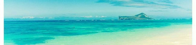 saritea_05's header image