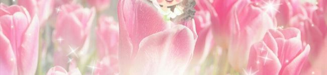 コニたん1218's header image