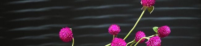 ☆KaoRun's header image