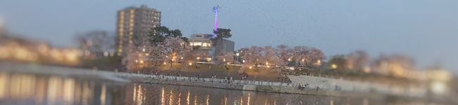 ちったん。's header image