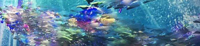 Satoron★'s header image