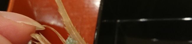 クックP3BRR1's header image