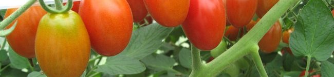 yn4565's header image