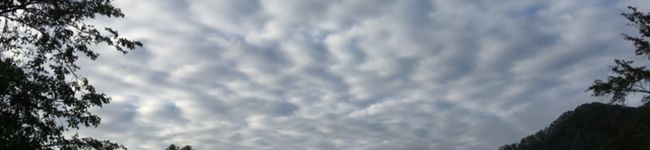 リンタとチー's header image
