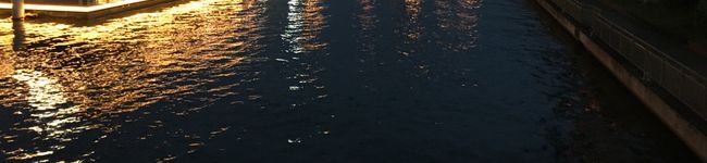 noicook's header image
