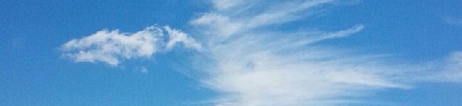 ジロー妻♥️'s header image