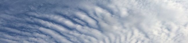 たんたんまるまる's header image