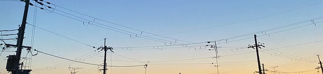 tsuki_17's header image