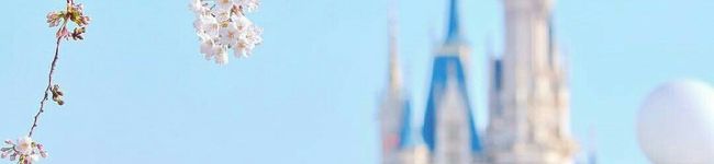 Natsuki＊＊＊'s header image
