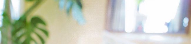 sea★resort's header image