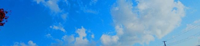 づっきーに☆'s header image