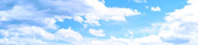shimasho's header image