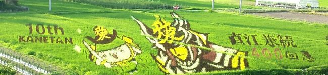 ekokan's header image
