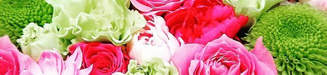 ＊anmama＊'s header image